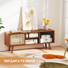 Mid-Century Modern TV Stand with Adjustable Shelf product image