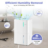 Dehumidifier with Intelligent Touch Panel  product image