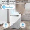 Dehumidifier with 3-Color Indicator and Smart Touch Control product image