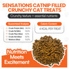 Scoochie Pet Crunchy Cat Treats (1- to 4-Pack) product image