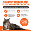 Scoochie Pet Salmon, Chicken Stew Wet Cat Food (4, 8, or 16-Pack) product image