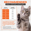 Scoochie Pet Wet Dog & Cat Food (12 Cans) product image