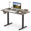 48” x 24” Electric Standing Desk with LED Display and 2 Memory Presets product image