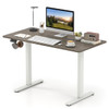 48” x 24” Electric Standing Desk with LED Display and 2 Memory Presets product image