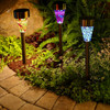 Mosaic Solar Pathway Light (6-Pack) product image
