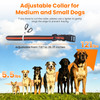 Dog Training Collar with Remote (1 or 2 Collars) product image