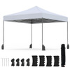 9.5x9.5-foot Pop up Canopy Tent product image