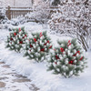 Artificial Cedar Topiary Ball Tree (2-Pack) product image