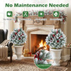 Artificial Cedar Topiary Ball Tree (2-Pack) product image