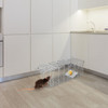 Foldable Humane Mouse and Rat Live-Catch Cage  product image