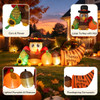 Thanksgiving Inflatable Turkey Decoration product image