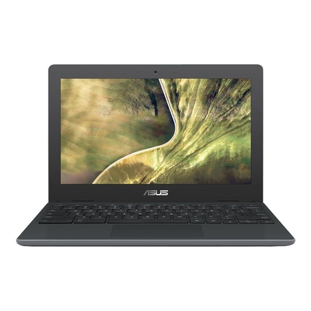 Asus Chromebook - 11.6