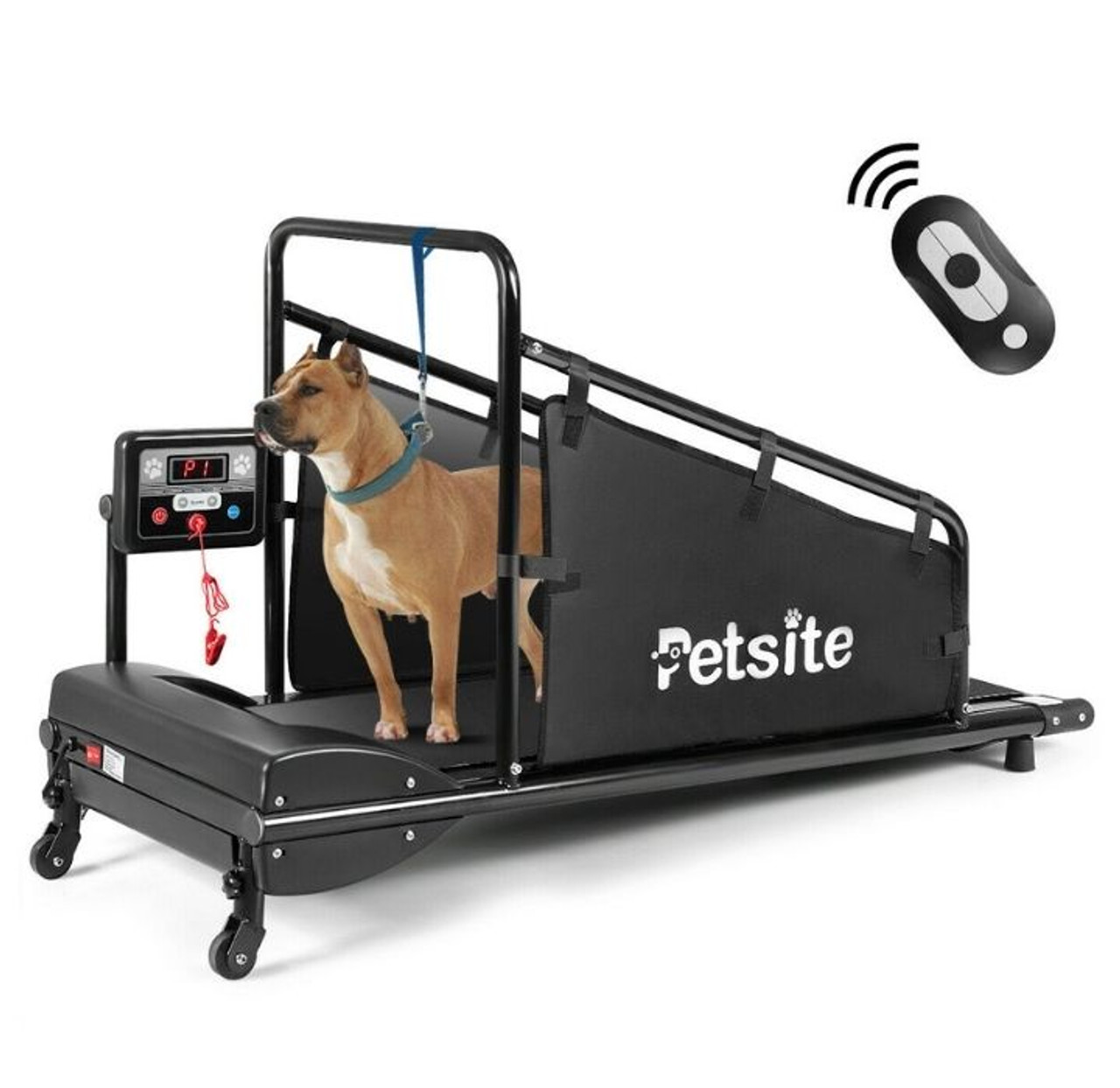 Petsite Indoor Pet Treadmill 
