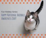 Fun Holiday Series: Happy National Hairball Awareness Day!