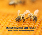 It’s National Honey Bee Awareness Day: Seven Fun Facts
