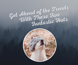 Get Ahead of the Trends with These Five Fantastic Hats