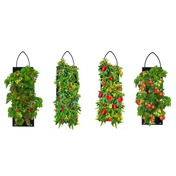 Indoor/Outdoor Organic Hanging Fruit & Veggie Garden Kits product image