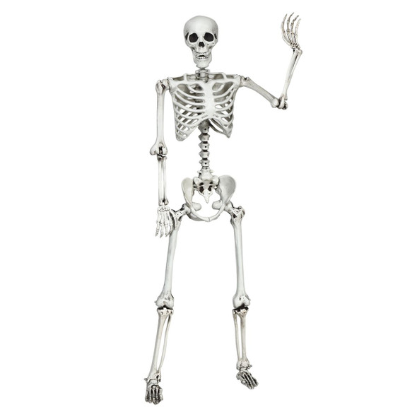 5.4-Foot Halloween Life-Size Full-Body Hanging Skeleton product image
