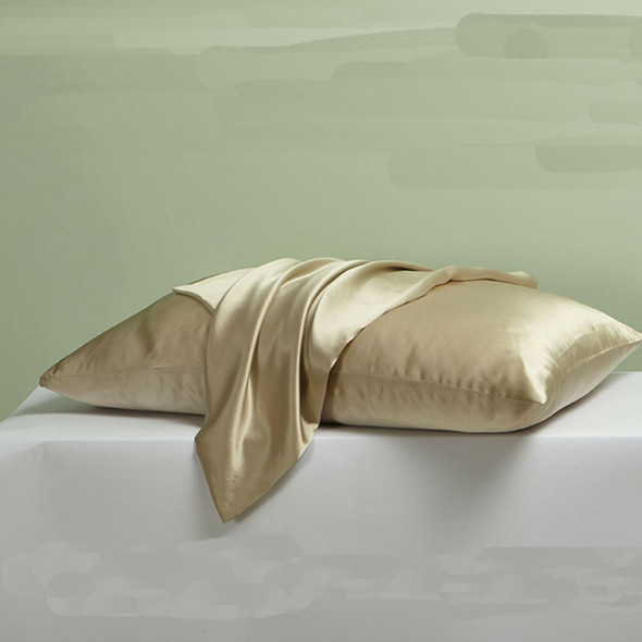1Pcs 100% Pure Mulberry Silk Pillowcase for Hair and Skin, Allergen Resistant Dual Sides, 600 Thread Count Silk Bed Pillow Cases with Hidden Zipper, Standard Size,51 x 66 cm, Champagne product image
