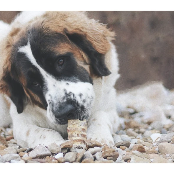 The Treat Shack® 6-Inch Split Beef Trachea Flats Dog Treats product image