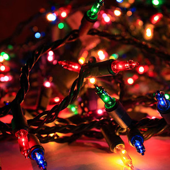  20-Foot 100-Count Incandescent Waterproof Mini String Lights (2-Pack) product image