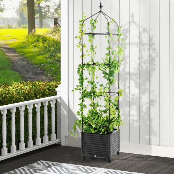 Indoor/Outdoor Raised Garden Bed with Trellis (1 or 2-Pack) product image