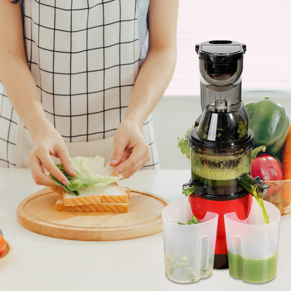 Electric Cold Press Juicer Machine product image