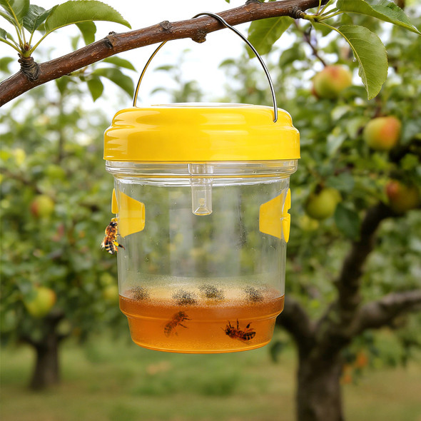 Solar Wasp Trap (3-Pack) product image