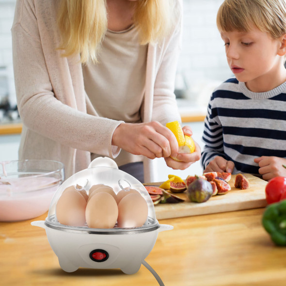 Electric Egg Cooker  product image