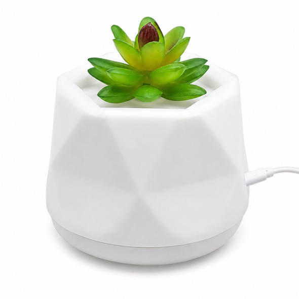 Water-Free Succulent Aroma Diffuser product image