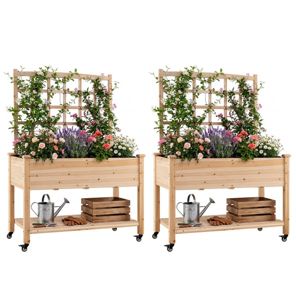 Wooden Raised Garden Bed with Trellis  (Pack of 1 or 2) product image