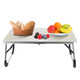 iMounTEK® Foldable Laptop Table and TV Dinner Tray product