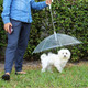 Transparent Dog Umbrella with Chain Leash product
