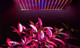 iMounTEK® Hanging 225-LED Plant Grow Lamp product