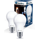 Boundery™ Motion-Sensing LED Light Bulb (2-Pack) product