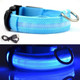 Glow-in-the-Dark Dog Collar product