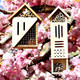 Bee & Butterfly Wooden Insect Home or Palace product