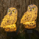 Solar LED Owl Stake Lights (2-Pack) product