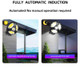 Round Solar Pathway Light with Remote product