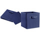 Foldable Storage Cubes (4-Pack) product