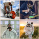 Respirator Anti-Dust Gas Mask & Anti-Fog Goggles product