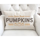 Modern Farmhouse Fall Pillow Covers product