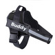 Personalized Reflective Pet Harness product