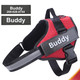 Personalized Reflective Pet Harness product