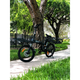 GoCity Folding Electric Bicycle with Removable Lithium-Ion Battery & 500W Motor  product