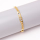 18K-Gold-Plated Lucky Bismark Elephant Anklet product