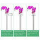 iNova™ Plant Support Stake (10-Pack) product