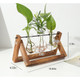 Glass Planter Bulb Plant Terrarium product