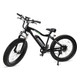 GoSpeed™ Fat Electric Bike with Removable Li-Ion Battery & 750W Motor product