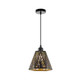 Lanier Pendant Light Fixture product